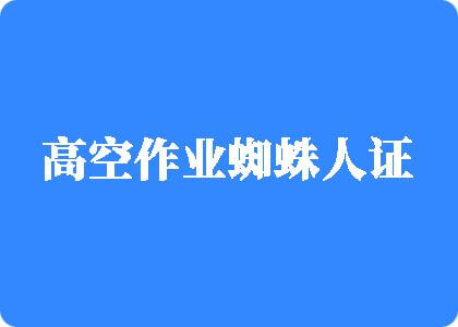 色骚逼我鸡吧骚逼aaaa高空作业蜘蛛人证